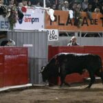 TERNA EN HOMBORS (11)