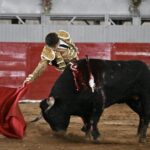 TERNA EN HOMBORS (14)