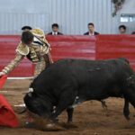 TERNA EN HOMBORS (26)