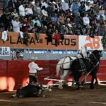 TERNA EN HOMBORS (28)