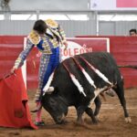 TERNA EN HOMBORS (30)