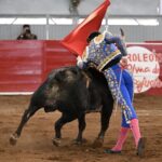 TERNA EN HOMBORS (37)