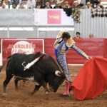 TERNA EN HOMBORS (38)