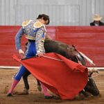 TERNA EN HOMBORS (39)