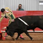 TERNA EN HOMBORS (58)