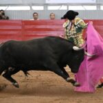 TERNA EN HOMBORS (60)