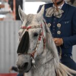 TERNA EN HOMBORS (67)