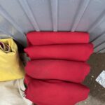 TERNA EN HOMBORS (9)