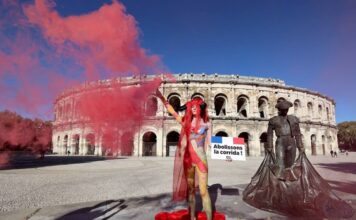 Oficial: Los Carteles de la Feria de Pentecostés