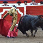 WhatsApp-Image-2023-01-07-at-11.18.18-1