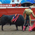 WhatsApp-Image-2023-01-07-at-11.18.18