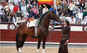 Emotiva Carta de Despedida de Diego Ventura a Nazarí