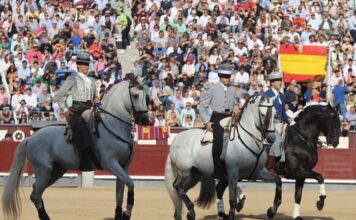 La Crónica de San Isidro: Guillermo Hermoso Firma la Mejor Faena Premiada, Léa Vicens Corta Oreja y Mansos los de Bohórquez