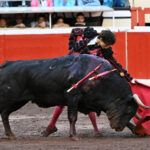 86B5933E-1CE1-46A9-808D-CD42081310FD