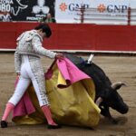 NOVILLADA (17)