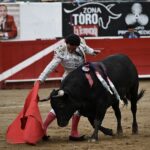 NOVILLADA (3)