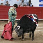 NOVILLADA (33)