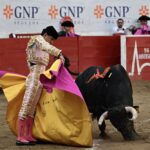 NOVILLADA (5)