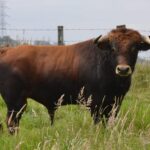 537b1058-0945-4663-8dba-6817ddfd3aec