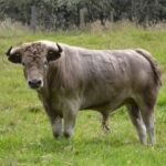 57baf2e6-04fc-4c97-9545-b07de5184cd8