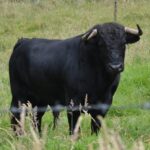 92581373-248e-42cf-9d88-226fb89185ab