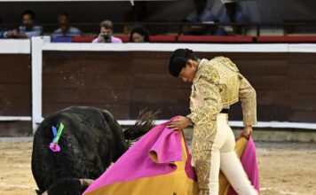 Manizales: Tres Novilleros, Tres Momentos, Tres Finales