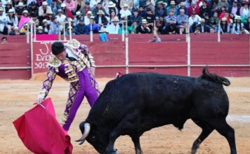 Lenguazaque: El Corazón No debe Pasar la Razón