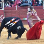 52cce77a-05ff-4fd8-b654-70bb57e64315