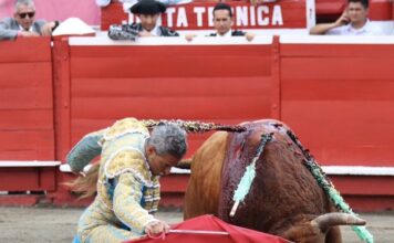Manizales: Román Pone la Emoción, Bolívar y Arcila las Orejas