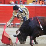 COLOMBO MERIDA 2024 2.1