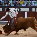 1e17e68d-509d-4a00-b811-5edadeb4bf21