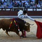 9fdbbf49-bcc0-483c-a8b6-1ad21b17246b