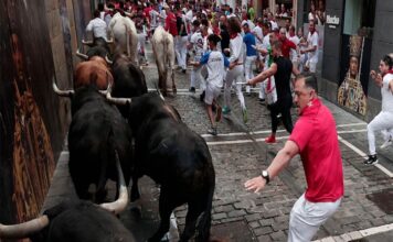 Video: Los de Fuente Ymbro vuelan por Pamplona para dejar un encierro rapidísimo con seis heridos