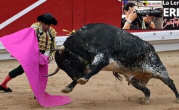 La Lente de Erick Cuatepotzo en San Fermín III