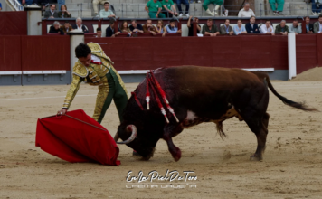 Lamentable corrida de 10 toros
