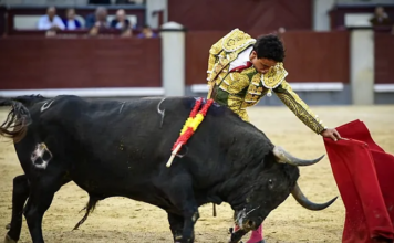 Un torero en Las Ventas: Juan de Castilla