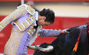 Los menores y las corridas de toros: ¿cuál es la situación en el mundo?