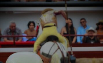 Cali: De Reparto: El Arte Silente de los Subalternos, Pilar Fundamental del Toreo