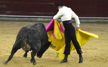 Lo Que No se Vio en la Noche de Festival