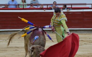 Lo Bueno, Lo Malo y Lo Feo de la Novillada de Feria en Cali