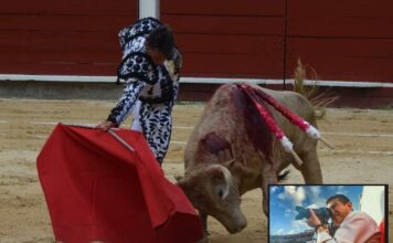 El Palco de Cortes en La Novillada de Cali