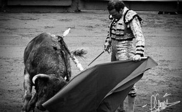 3a de Manizales: La Lente de JuaPa Garzón: Pasión y Bravura Bajo el Chispeo