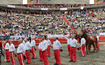 Monosabios Recibirán Cordón de la Feria de Manizales