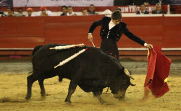 Noche de Luces y Triunfos, Gracias a la Macarena