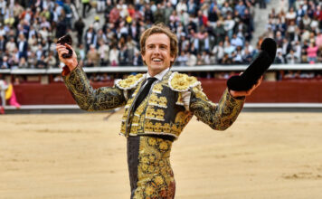 Román Collado debuta en Mérida