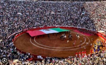 Plaza México Cesa Festejos Taurinos: 35 Mil Empleos en Riesgo