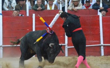 1a de Lenguazaque: Lo Que No Se Vio