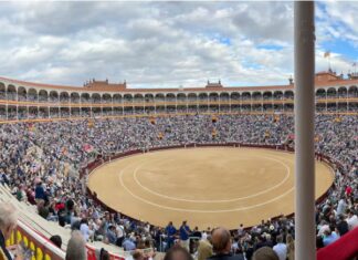 Televisión en San Isidro 2026