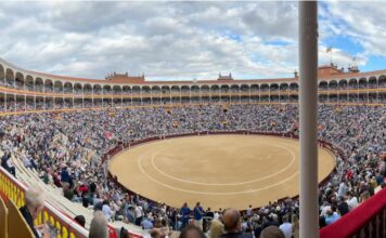 Televisión en San Isidro 2026