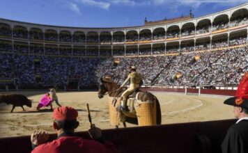 Carteles Oficiales de la Feria de San Isidro 2025